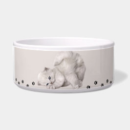 Tigela "Pawyer Bowl"? 🐾 Kitten ✨