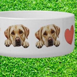 Tigela Peeking Golden Labrador Personalizar tema