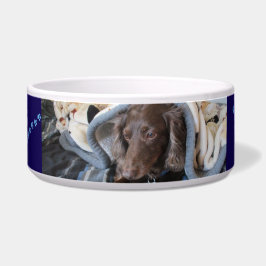 Tigela Pegadas Fiéis Pet