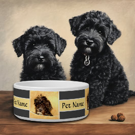 Tigela Personalizada para Cães Schnoodle