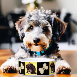 Tigela personalizada para cão médio Schnoodle
