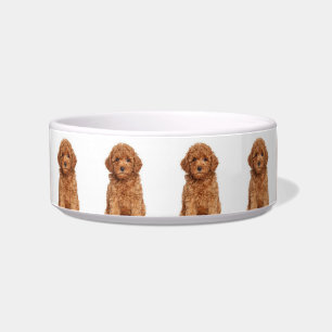 Tigela Personalizar, personalizar com um cão, um gato co