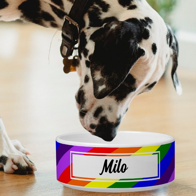 Tigela Pet Arco-Íris Diagonal Colorida (diagonal rainbow color pet bowl with Dalmatian dog)
