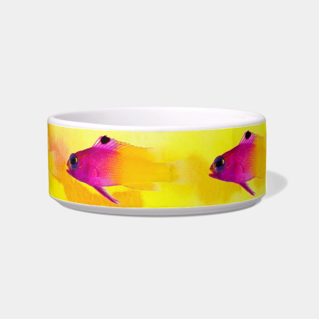 Tigela Pet Bowl (Direita)