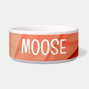 Tigela Pet Bowl Abstrato colorido com texto MOOSE