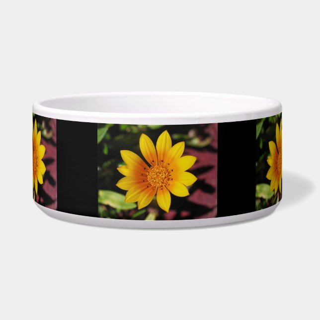 Tigela Pet Bowl Amarelo (Frente)