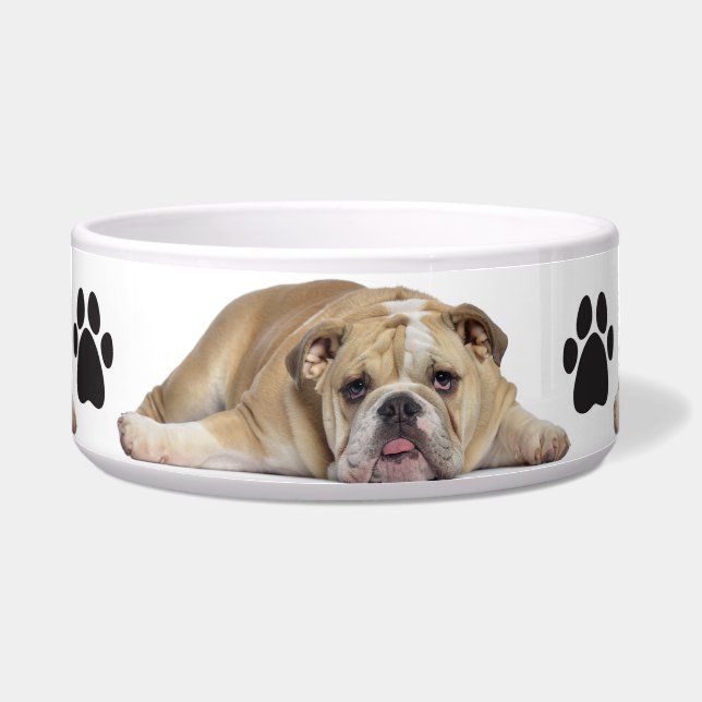 Tigela Pet Bowl/Bull Cão (Frente)