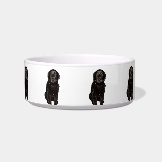 Tigela Pet Bowl de Bela Lab Negra (Frente)