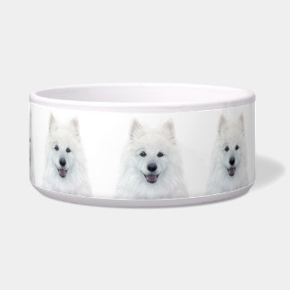 Tigela Pet Bowl de Cachorro Samoed por miart