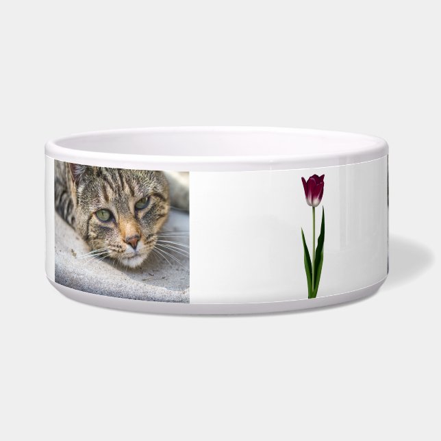 Tigela Pet Bowl de Cerâmica Funky (Esquerda)