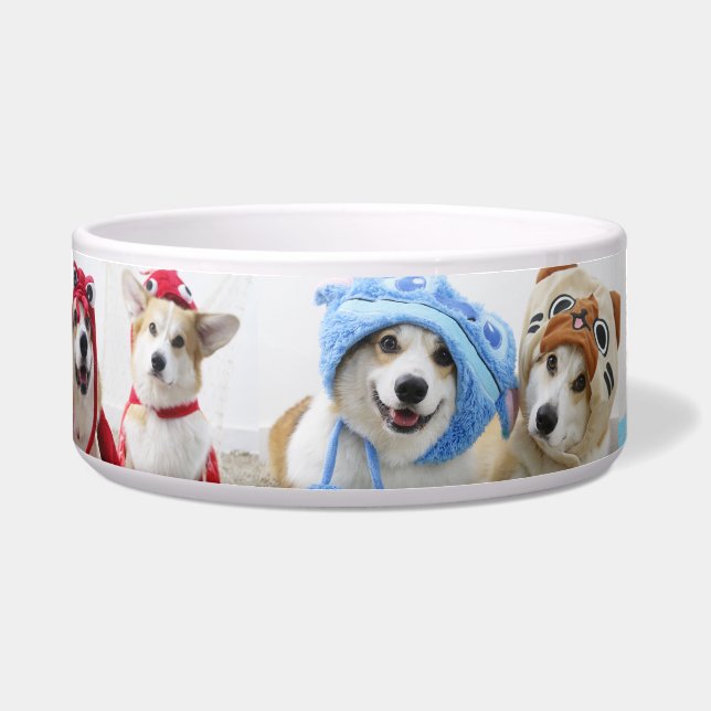 Tigela Pet Bowl de Cosplay Corgis (Frente)