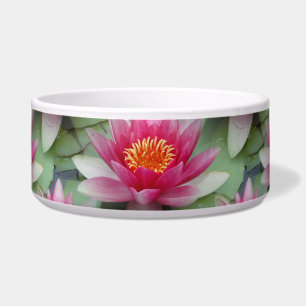 Tigela Pet Bowl, de Lily Cerâmica, Lily, de Lotus