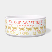 Pet Bowl de Natal "DOURADO/ÚMIDO NADOR"