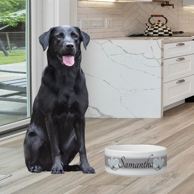 Tigela Pet Bowl Feminina Simples com Tonalidade Suave com (Criador carregado)