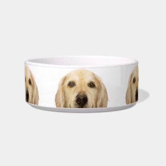 Tigela Pet Bowl/ouro