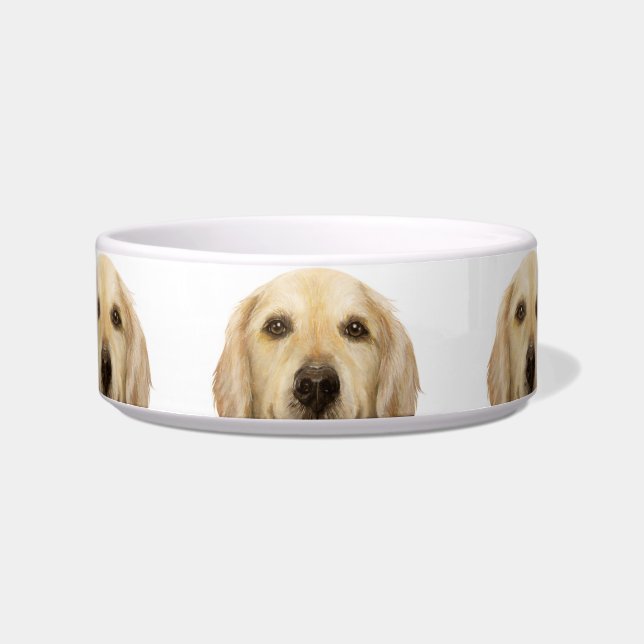 Tigela Pet Bowl/ouro (Frente)