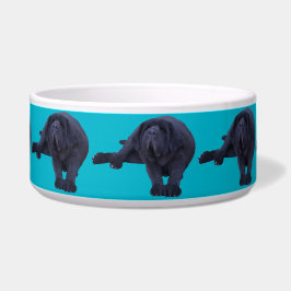 Tigela Pet Bowl para qualquer Raça Maior de Cachorro