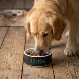 Tigela Pet Bowl personalizado de arte popular escandinava