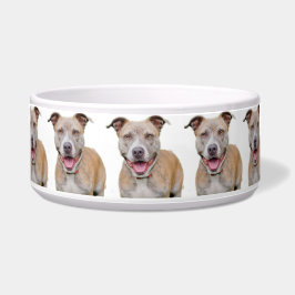 Tigela Pet Bowl/Pitbull