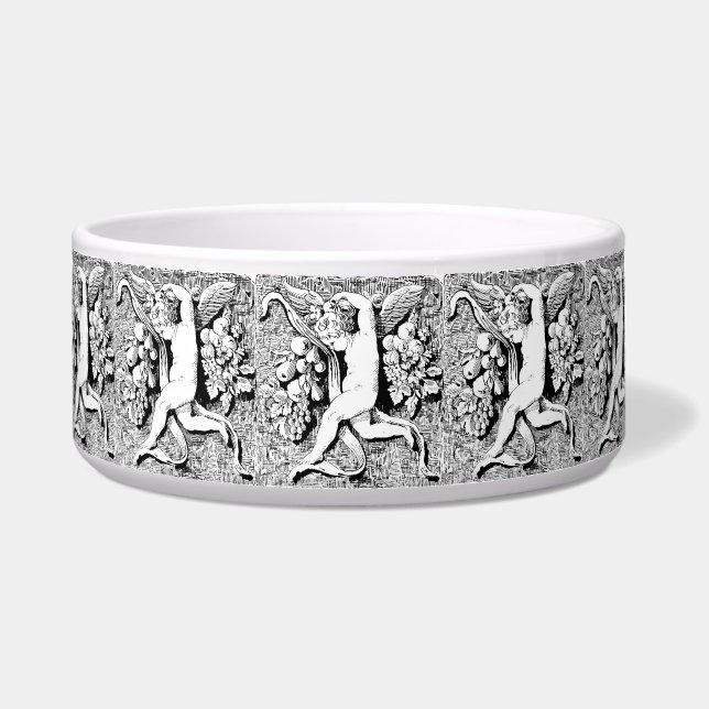 Tigela Pet Bowl (planta) (Frente)