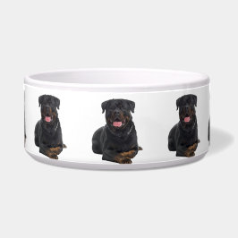 Tigela Pet Bowl/Rottweiler