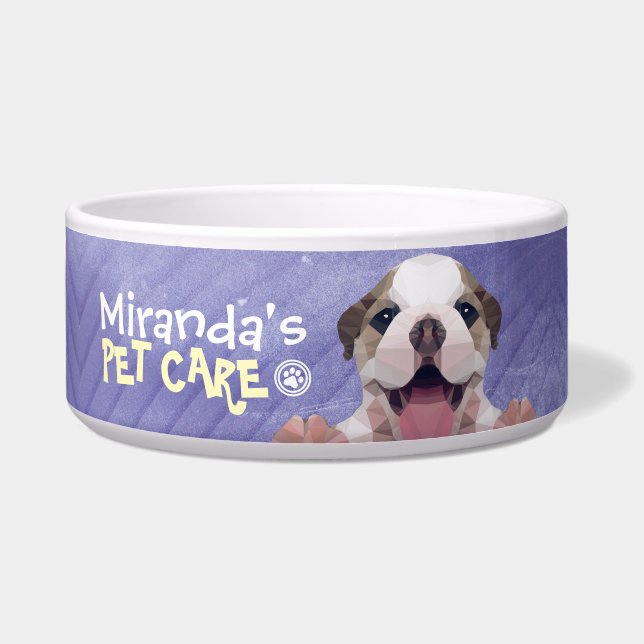 Tigela Pet Care Sitting Bathing Grooming Salon Comida Com (Frente)