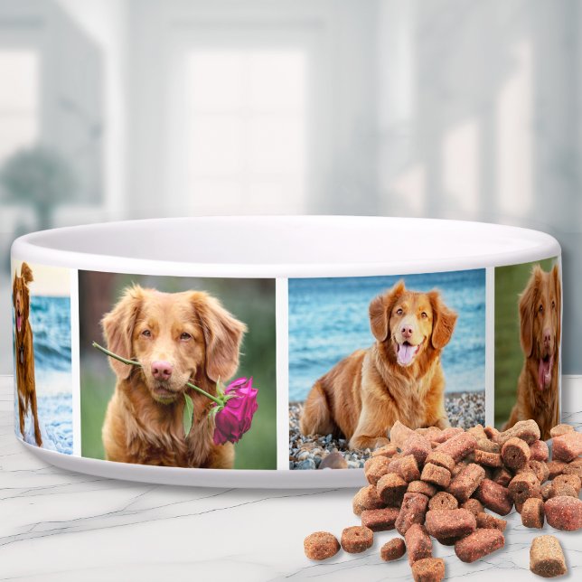 Tigela Pet de Imagem Elegante Simples com Colagem de Foto (Photo Collage Simple Elegant Picture Bowl)