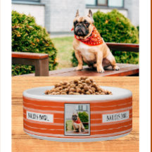 Pet Lovers Orange Stripes Nome Fotográfico