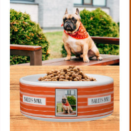 Tigela Pet Lovers Orange Stripes Nome Fotográfico