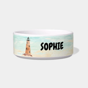 Tigela Pet Water Comida Bowl