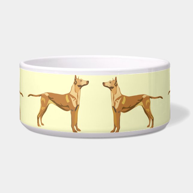 TIGELA PHARAOH HOUND (Frente)