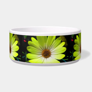 Tigela Pica-Cão Amarelo Fluorescente Africana