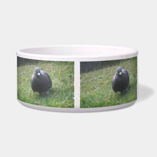Tigela Pigeon Dog Bowl