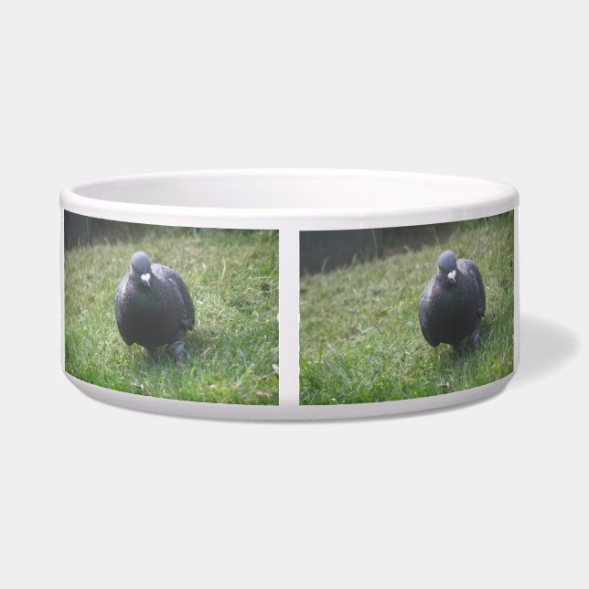 Tigela Pigeon Dog Bowl (Traseira)