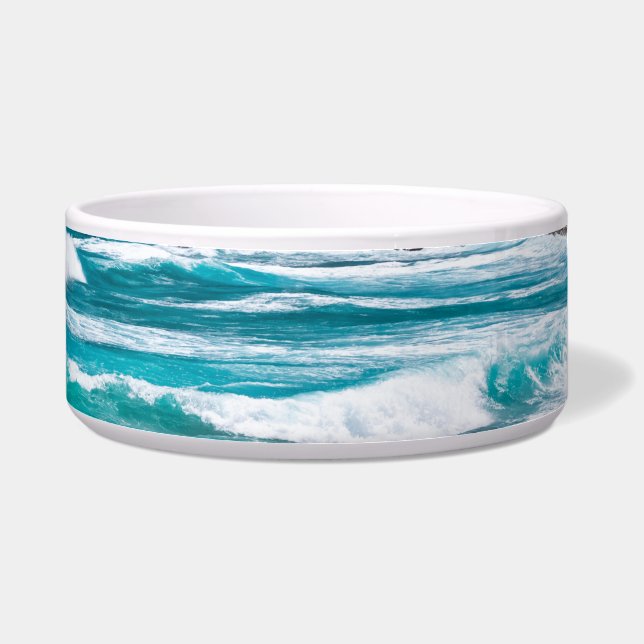 Tigela Pointe des Chateaux, Grande-Terre, Guadalupe (Direita)