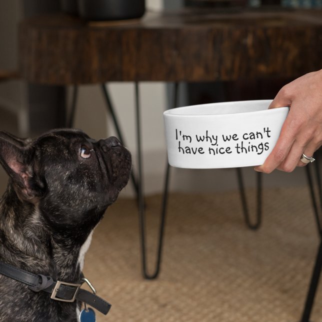 Tigela Por que não podemos ter coisas legais engraçadas (Criador carregado)