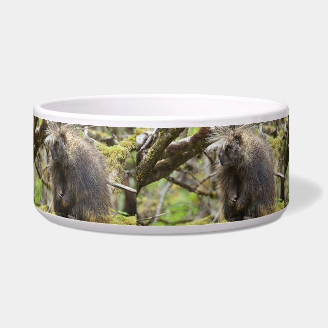 Tigela Porcupina determinada (Esquerda)