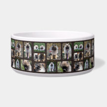 Prato de cão cerâmico