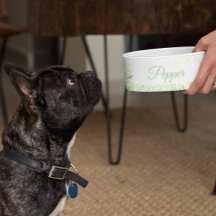 Presente Personalizado de Pet Bowl de Gato de Cão 