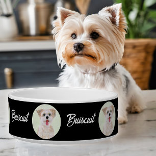 Tigela Preta Redonda para Pet Morkie Imagem