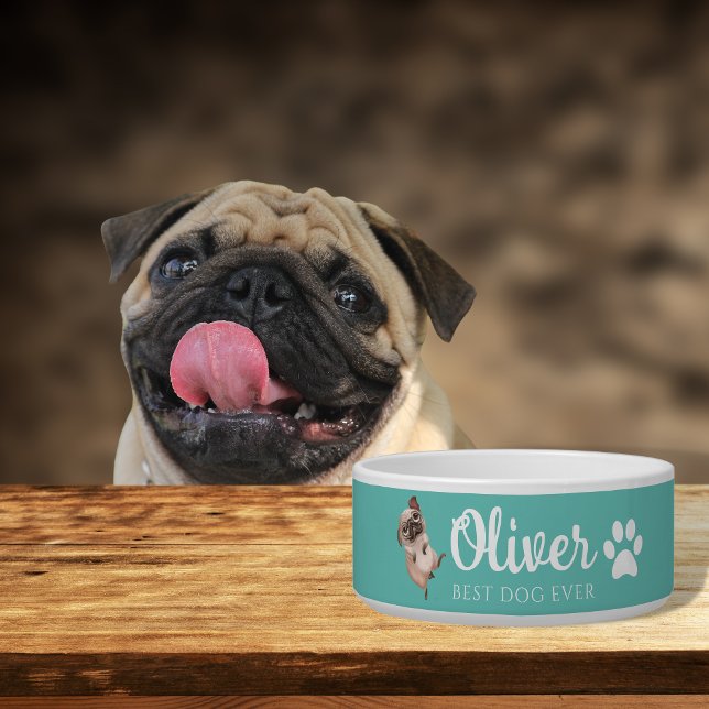 Tigela Pug Cerâmica Pet Bowl (Criador carregado)