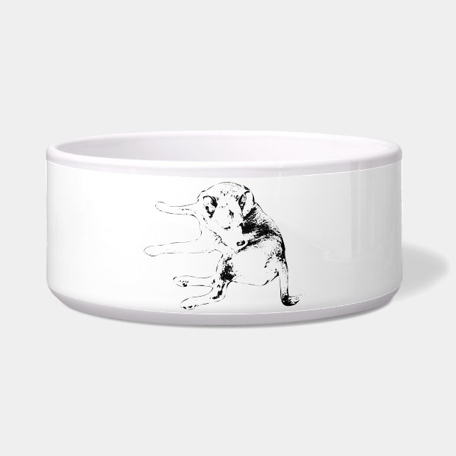 Tigela Pup Joy Meal (Frente)