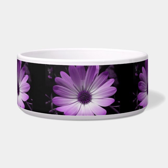 Tigela Púrpura Daisy Flower Dog Bowl (Frente)