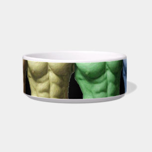 Tigela Rainbow Abs Pet Bowl