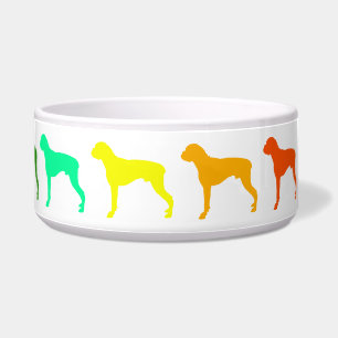 Tigela Rainbow Boxer Pet Bowl