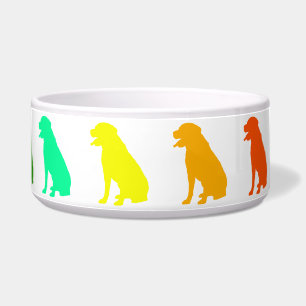 Tigela Rainbow Labrador Pet Bowl
