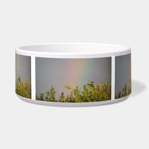 Tigela Rainbow Sky Dog Bowl