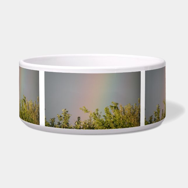 Tigela Rainbow Sky Dog Bowl (Frente)