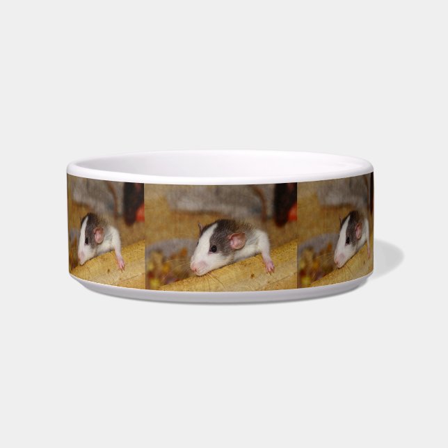 Tigela Rato Fofo (Frente)