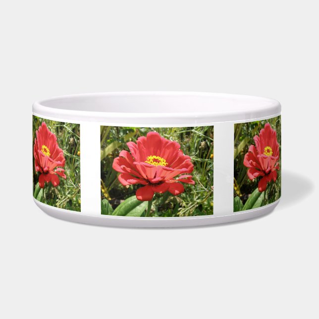 Tigela Red Zinnia Dog Bowl (Frente)